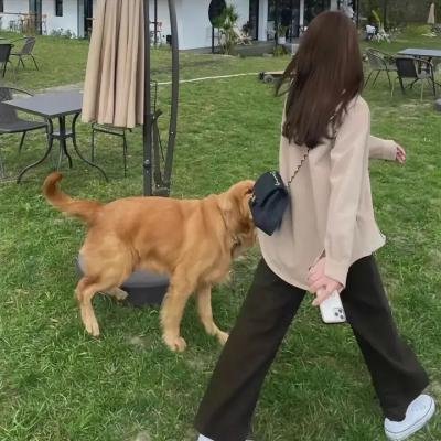 山尘拂过童年牧歌